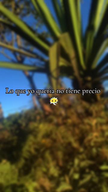 @Ale🦋🫧🫰