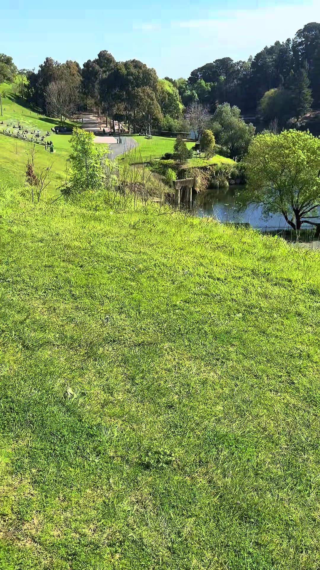 @Jungle ©️ 🇮🇹-🇹🇷-🇦🇺
