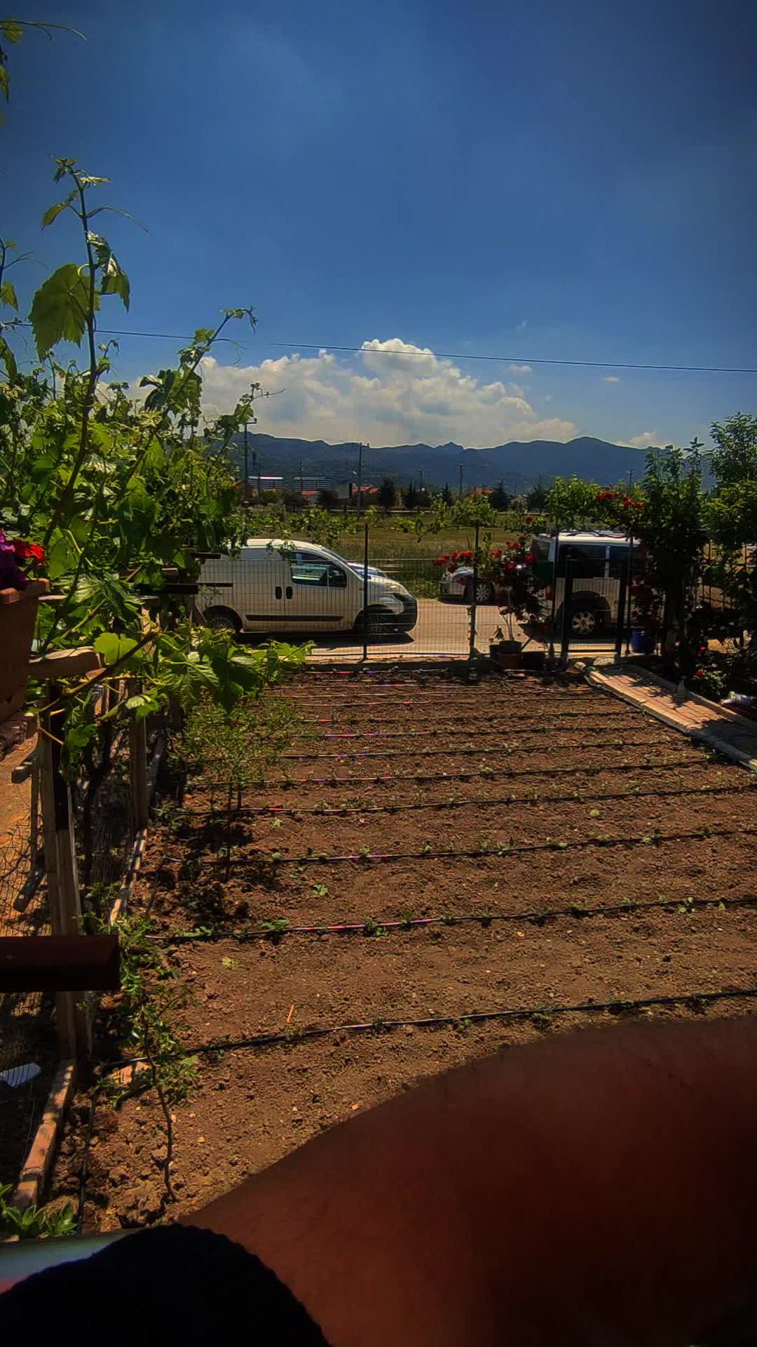 @ismet.ozogul