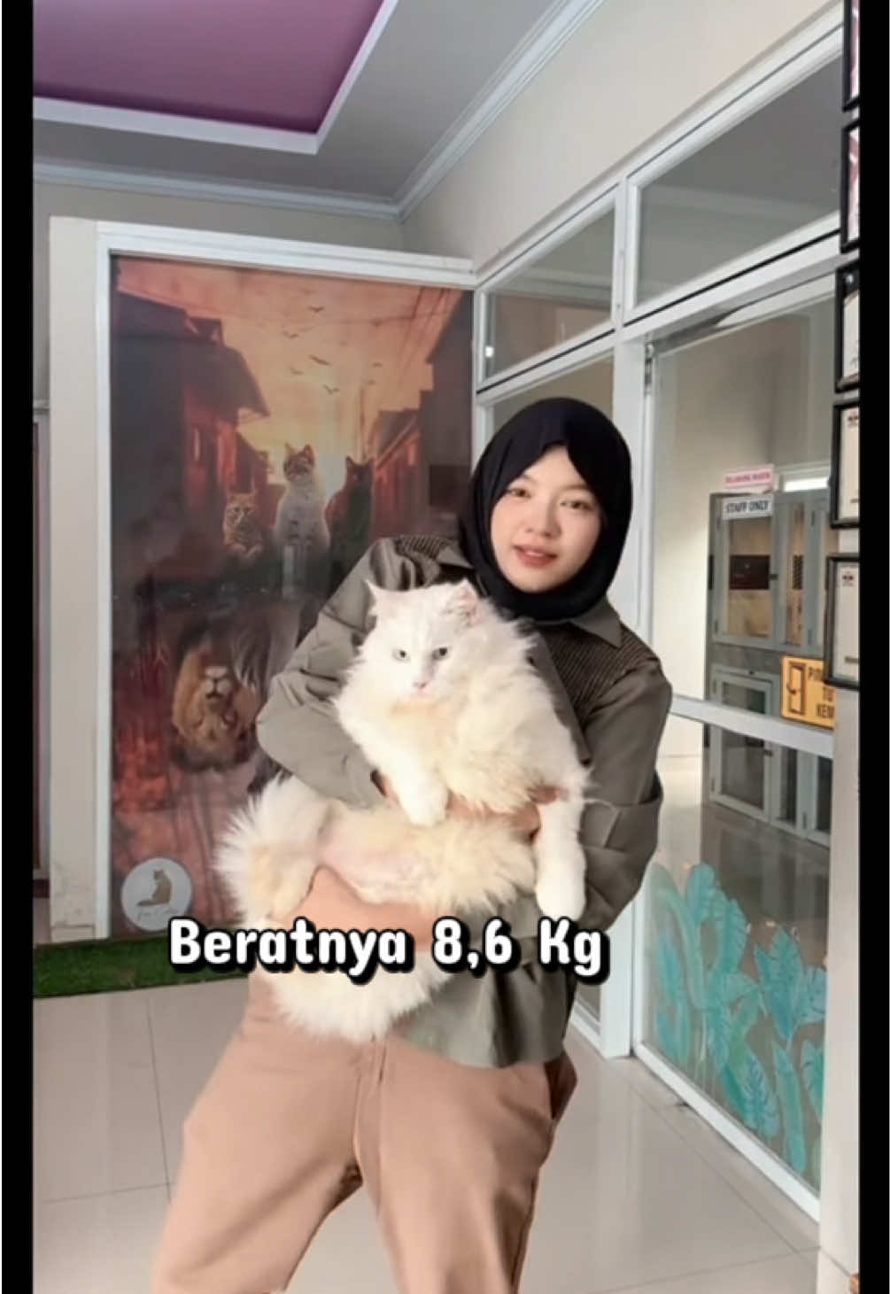 @FaenCattery