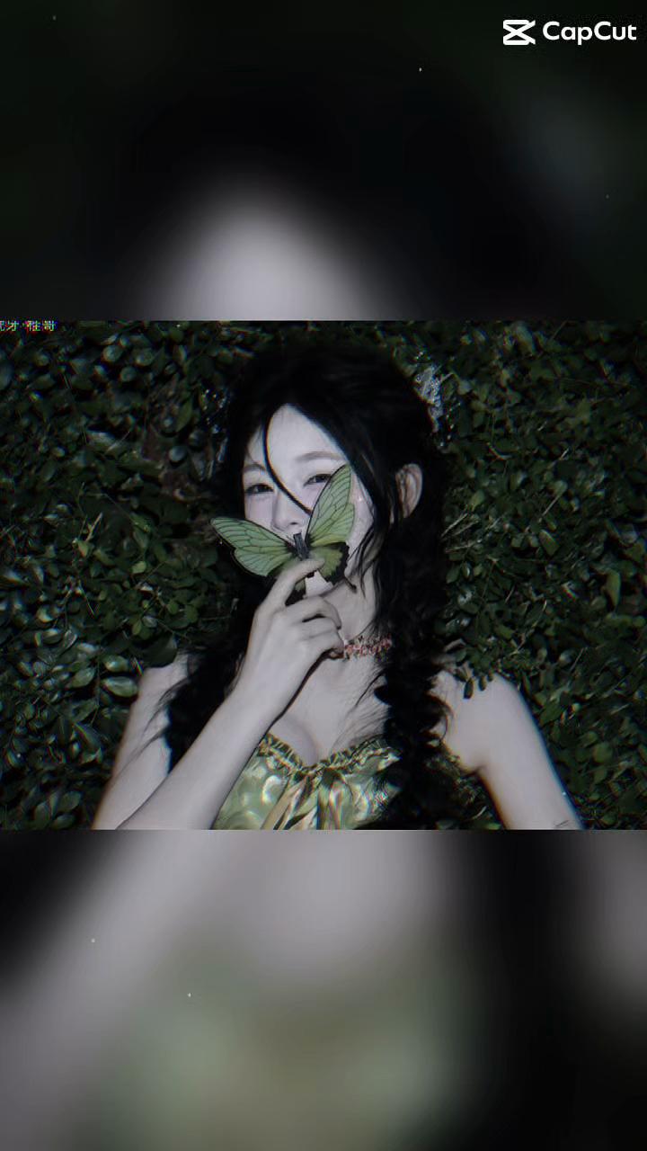 @Chu Tử H&agrave;m 🦷🐯