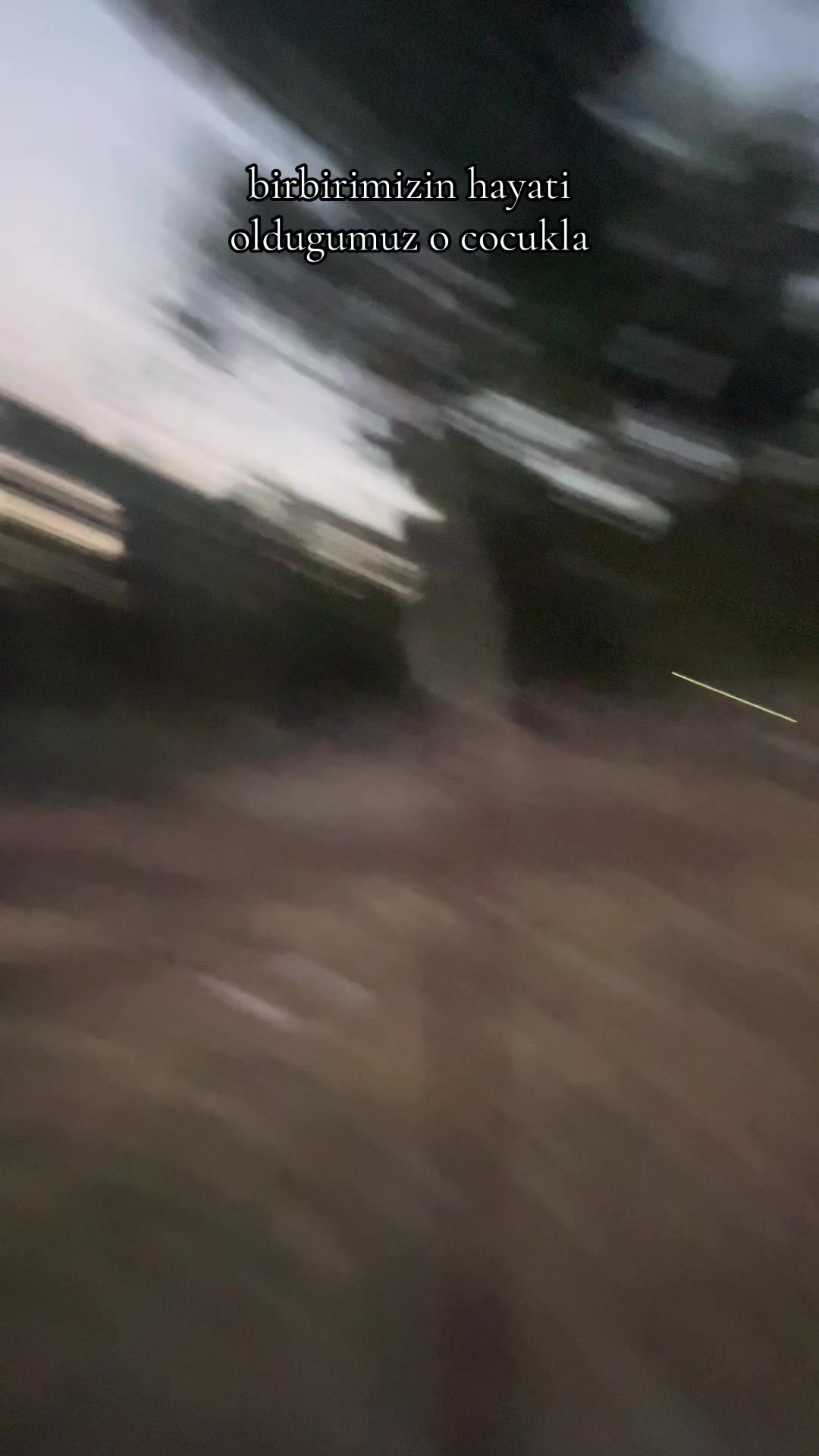 @🐆