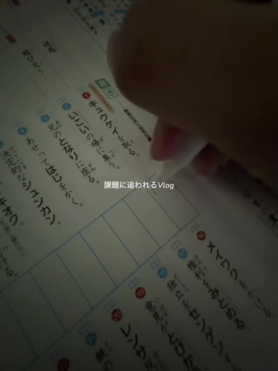 @きぬ