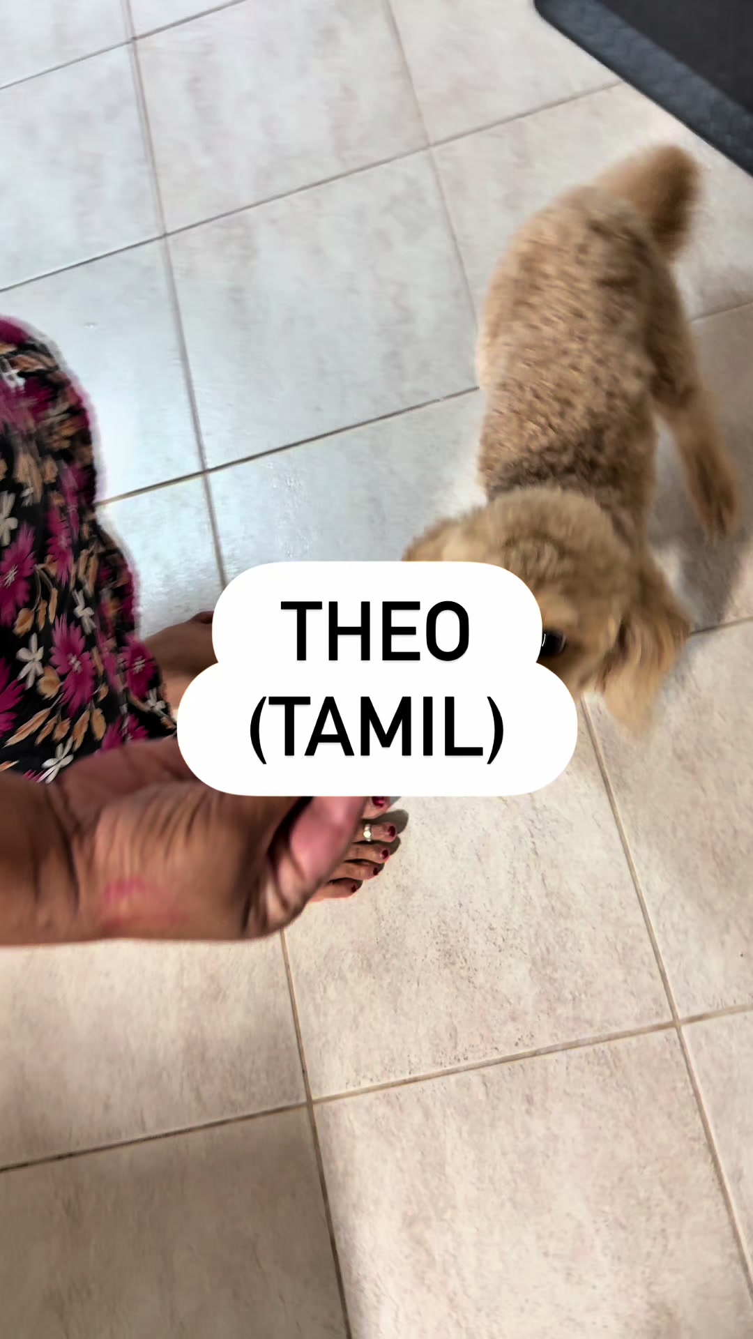 @tamilaakalthanesh