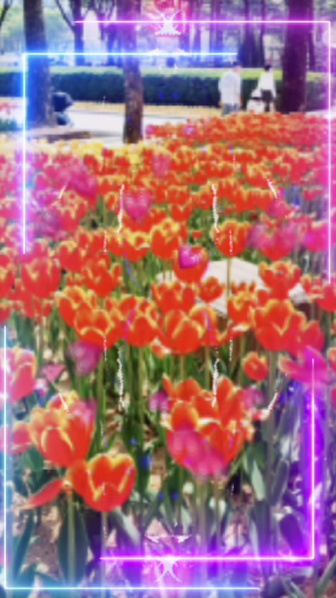 @소나기