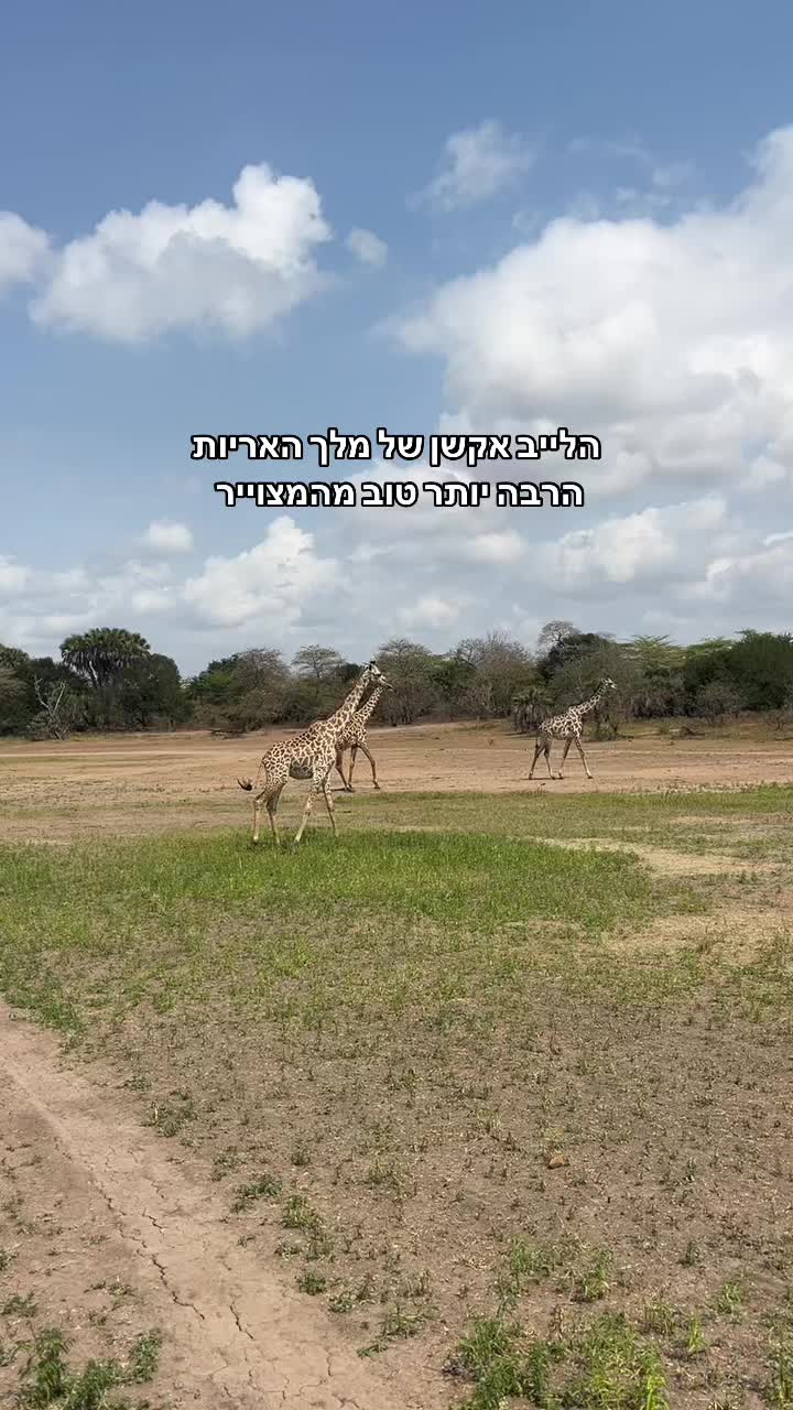 @מירב מלכת הזבל והעציצים
