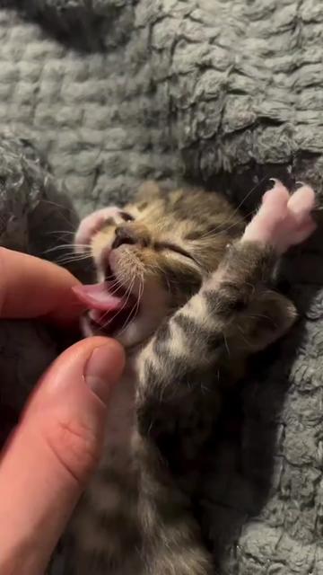 @@ไข่ตุ๋น