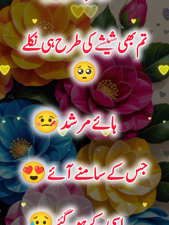 @Janyman379
