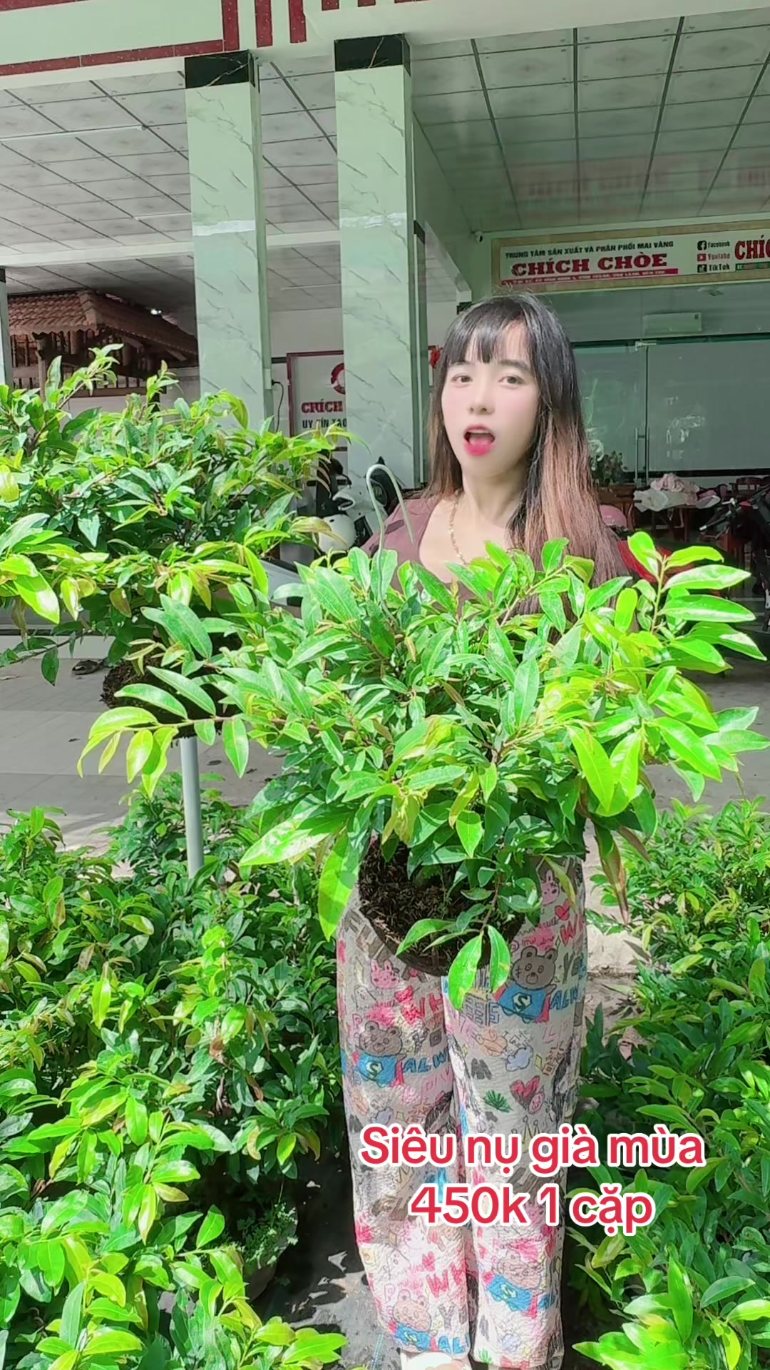 @Chichchoebong79