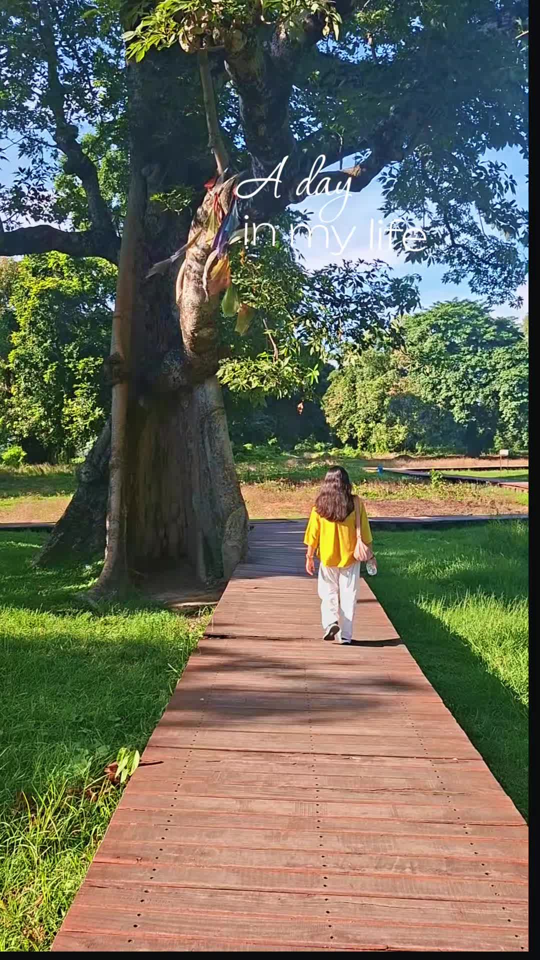 @Sangita🍀✨️