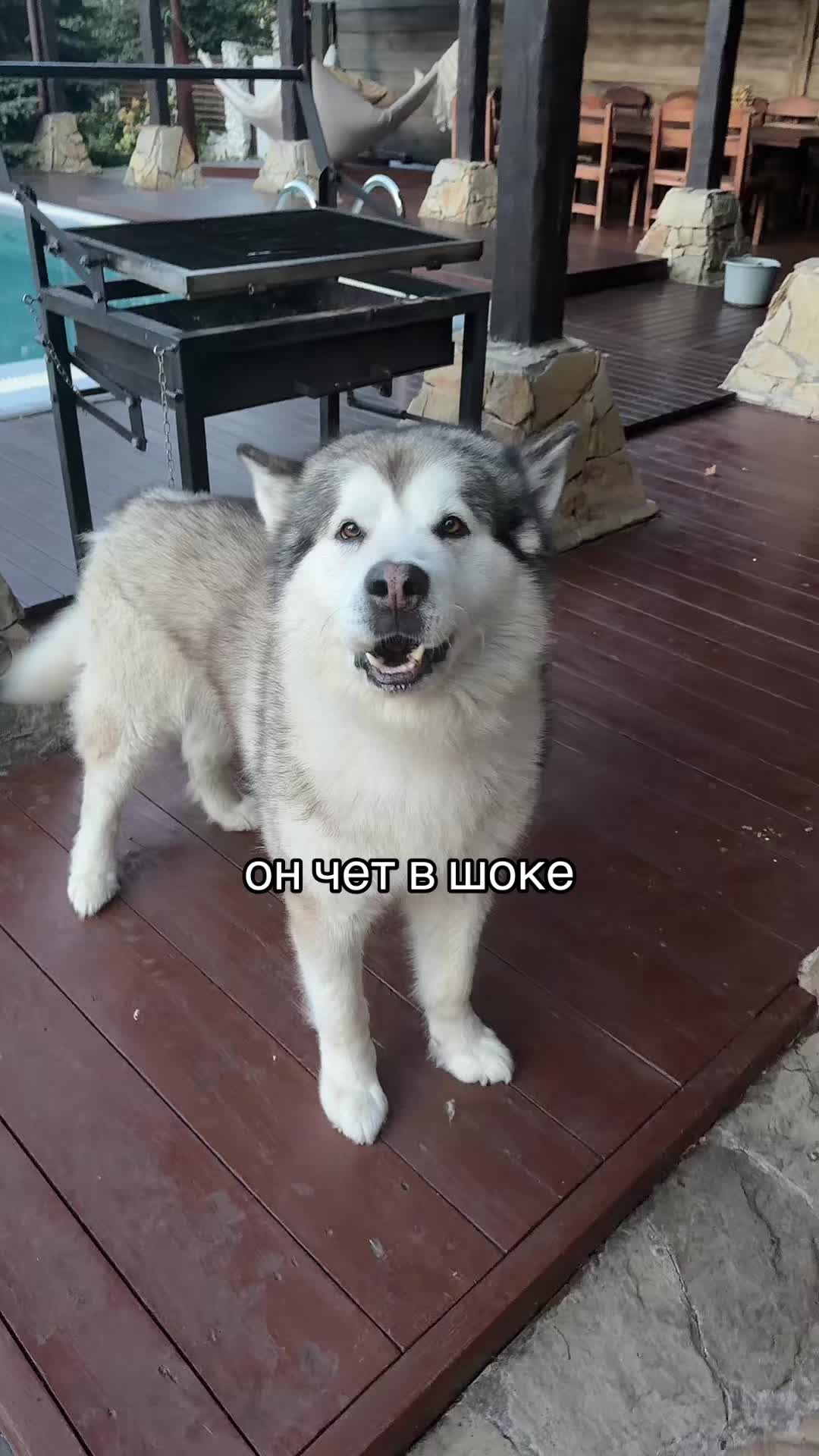 @︎ ︎ ︎ ︎ ︎