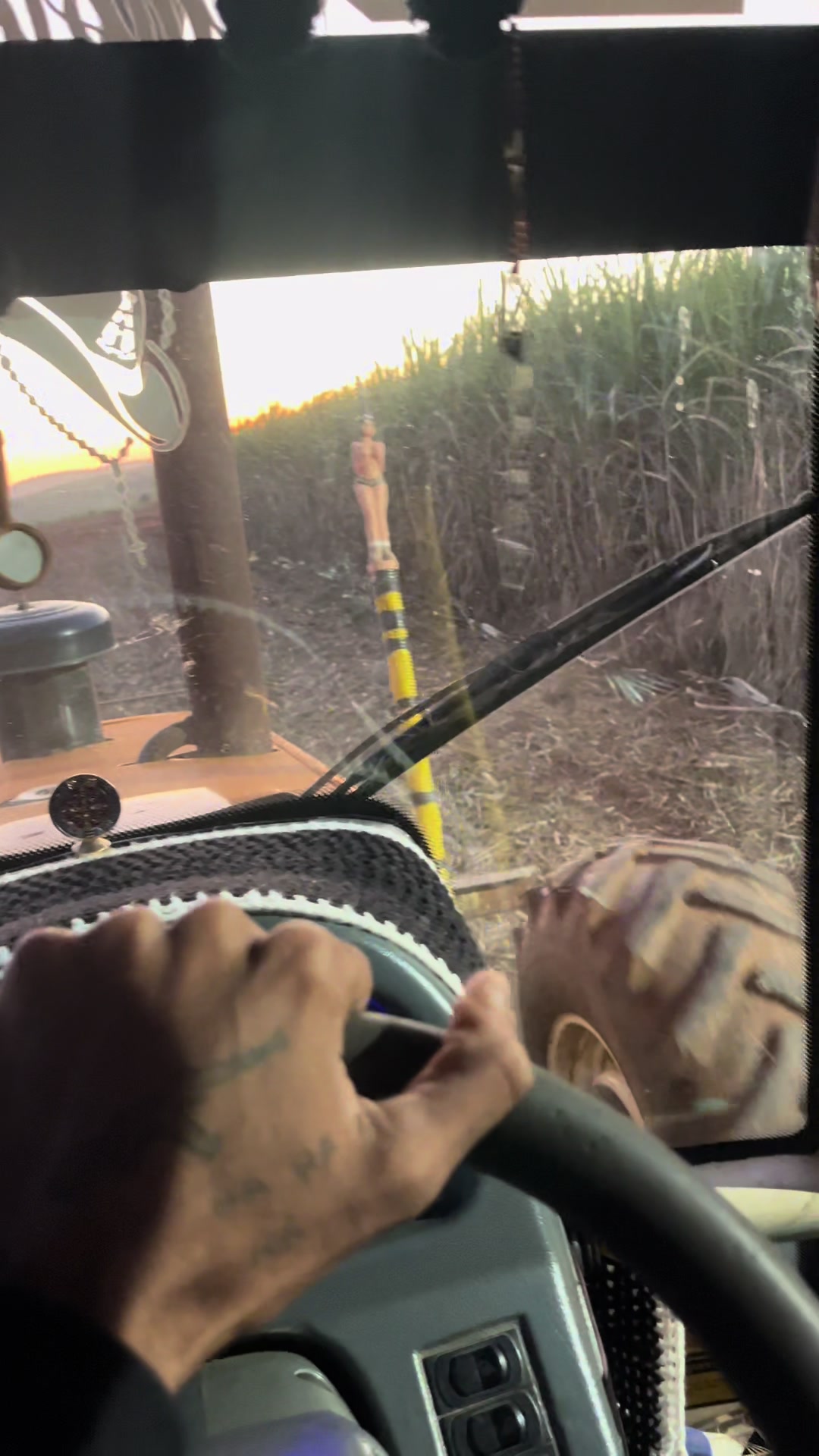 @🚜Paulinho🚜