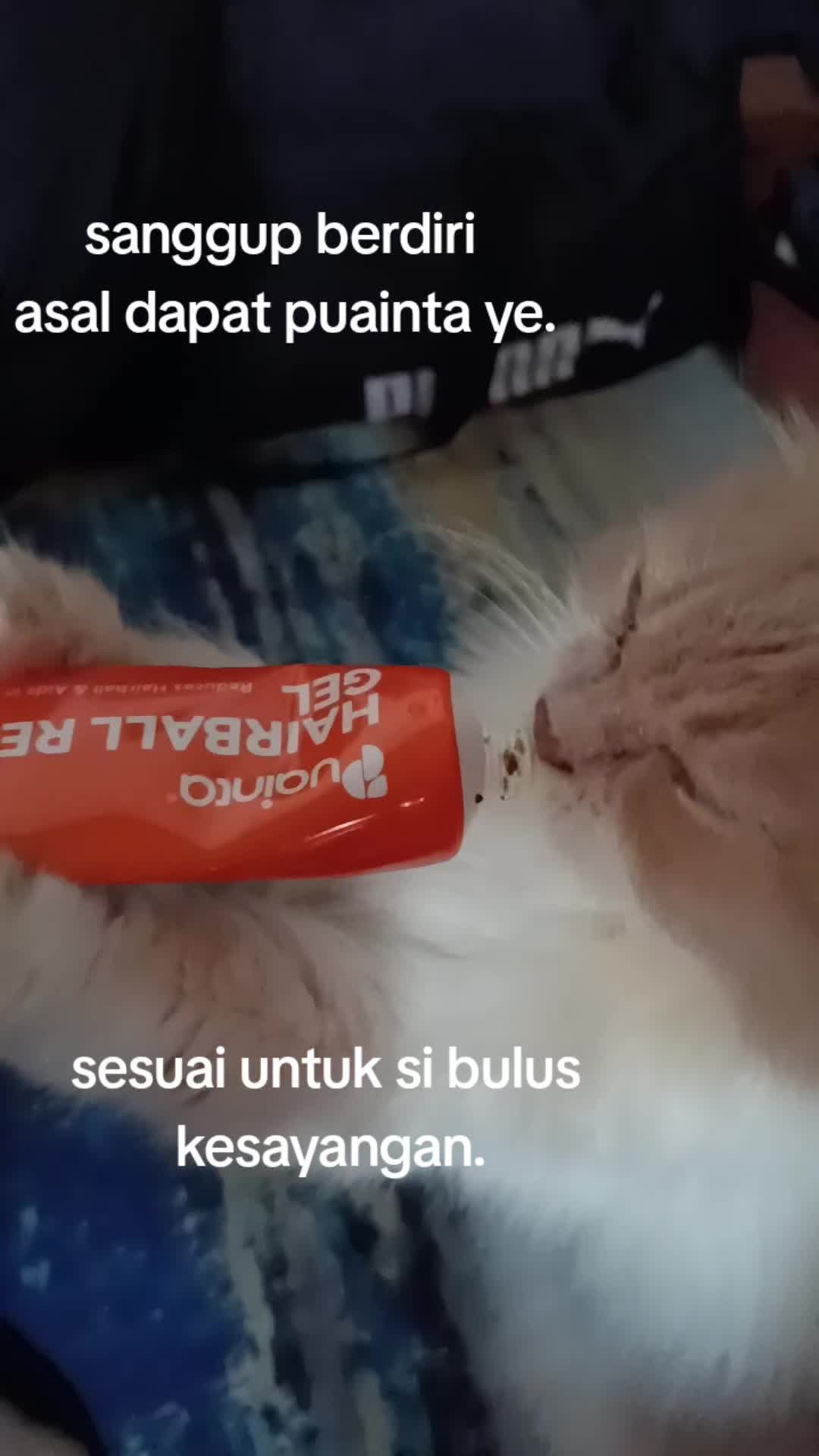@Liza