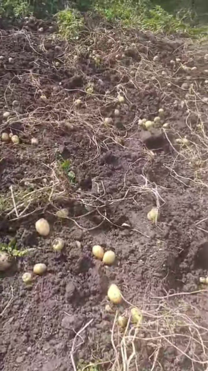 @Юрик