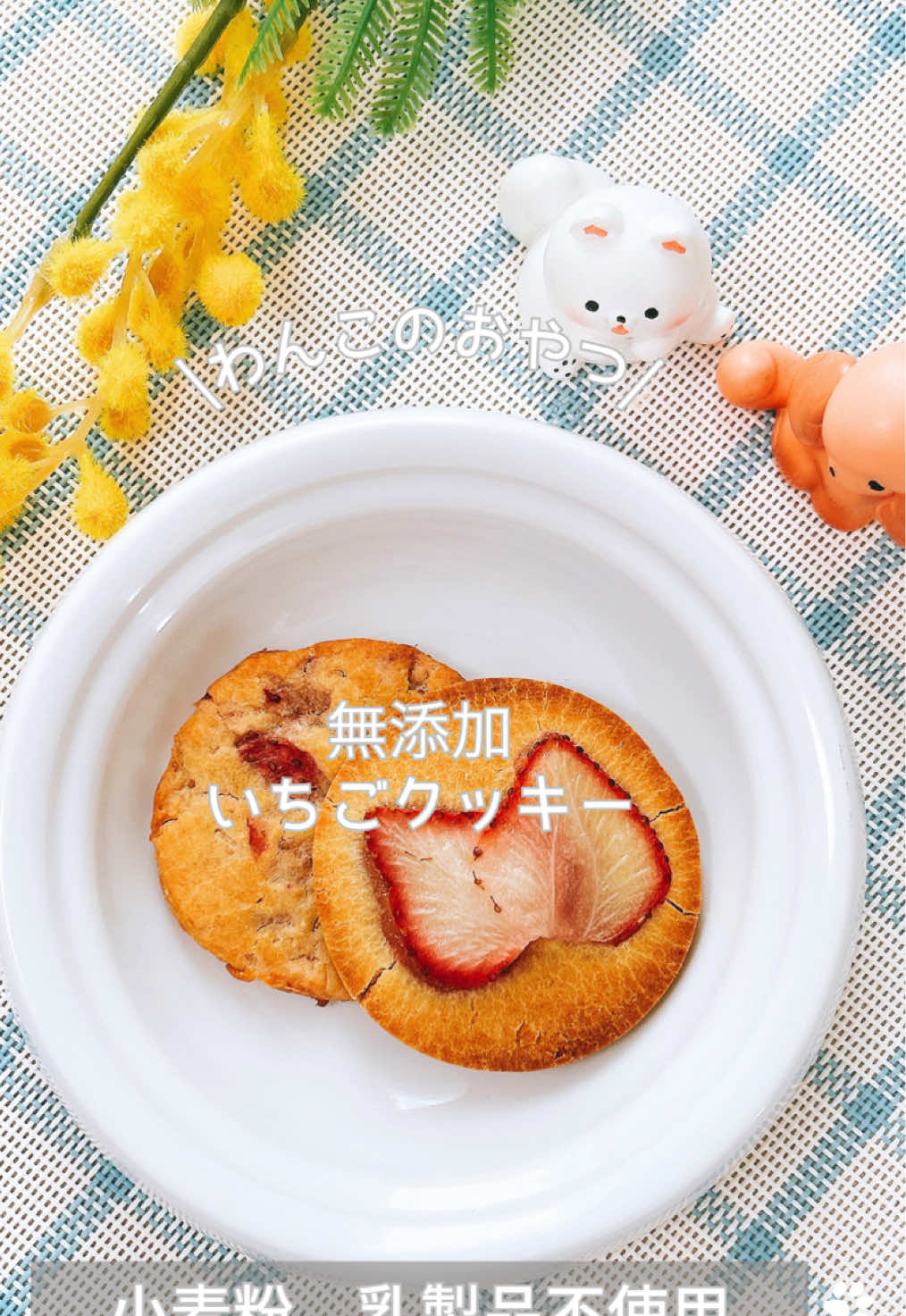 @ゆきえもん|手作り愛犬おやつ