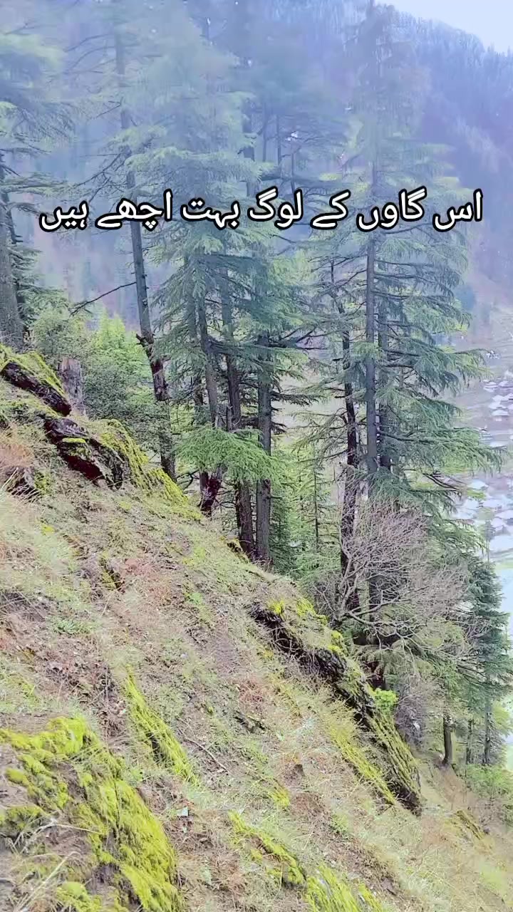 @kashmiri girl