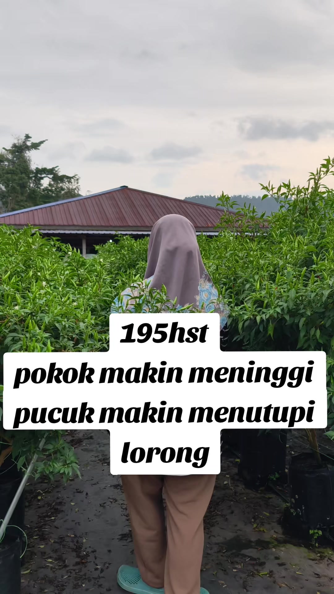 @CiLi BaRa