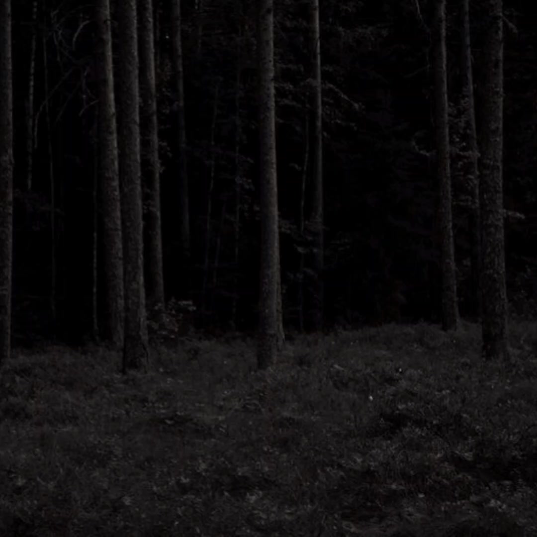 @𝐈𝐬𝐚𝐛𝐞𝐥𝐥𝐚 .⋆♱⃓