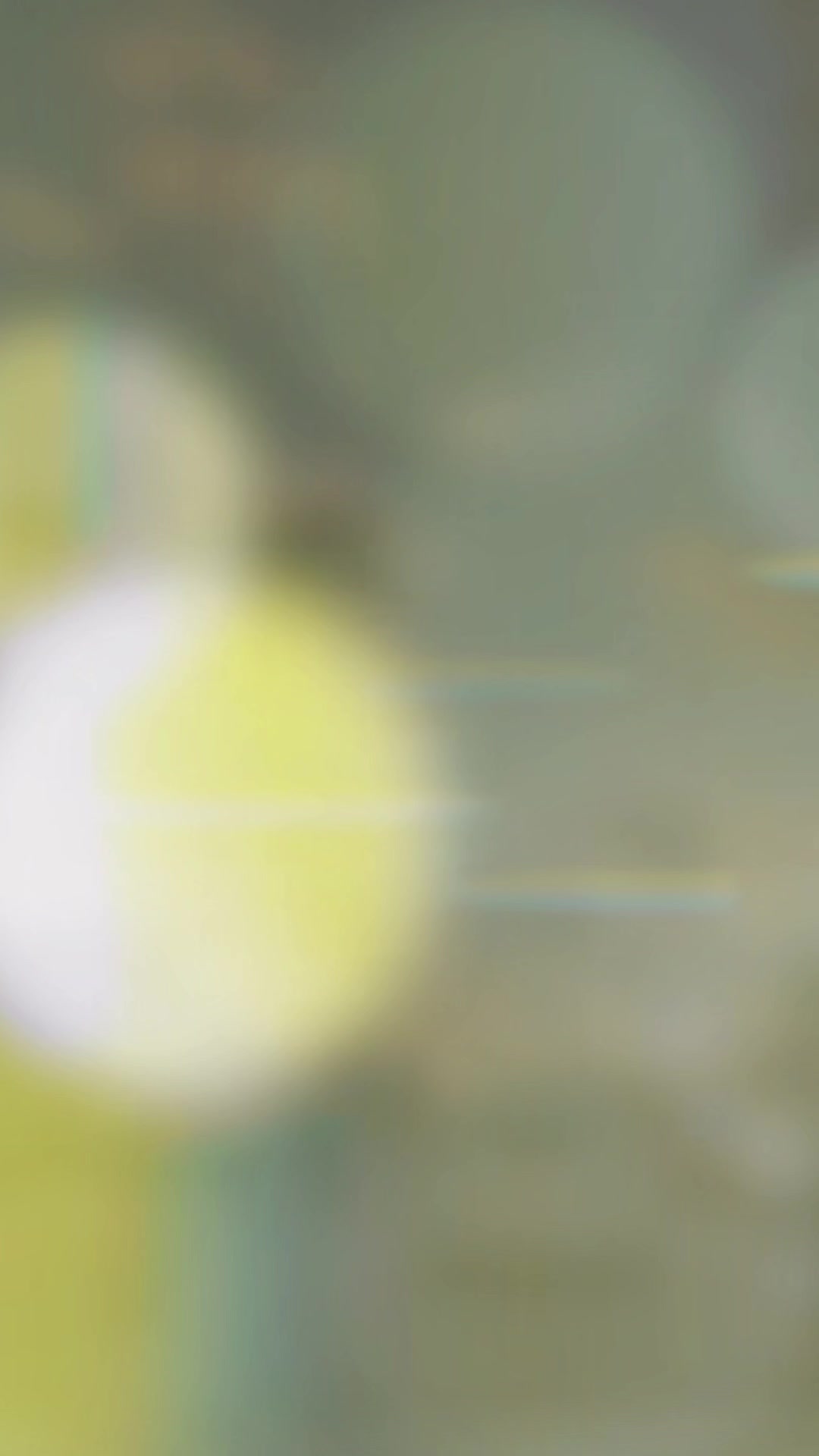 @C E K _ N I S