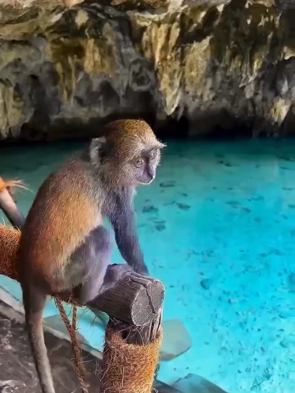 @Travel_Star360