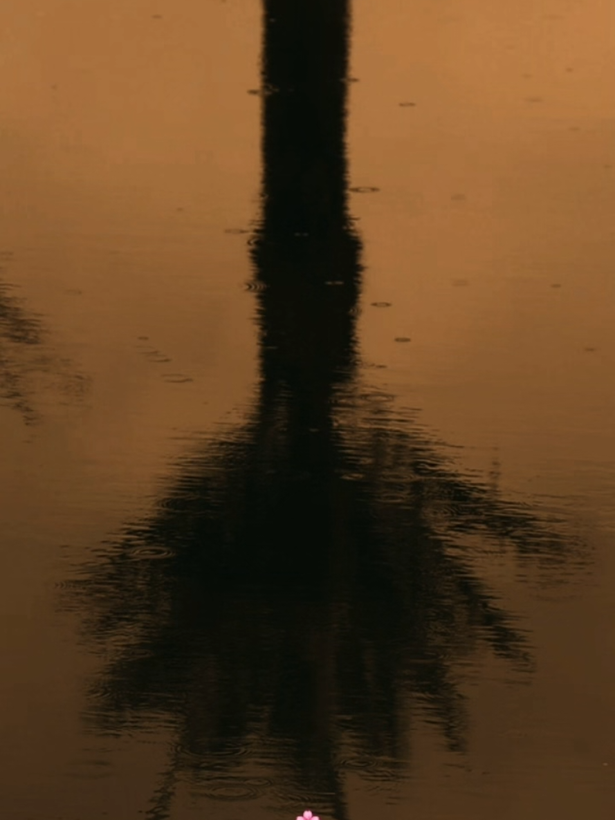 @𝐂𝐡𝐚𝐨𝐬 𝐐𝐮𝐞𝐞𝐧𝜗𝜚