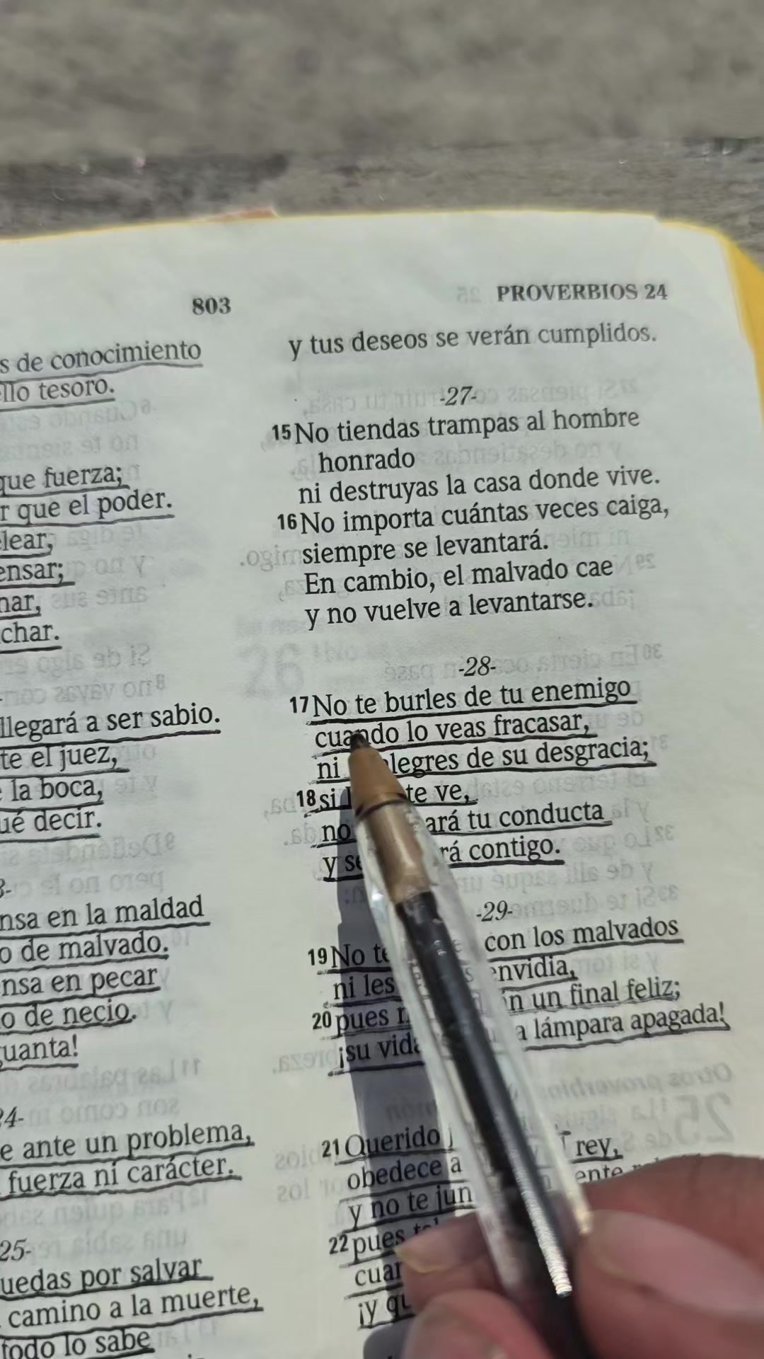 @Palabra de Dios