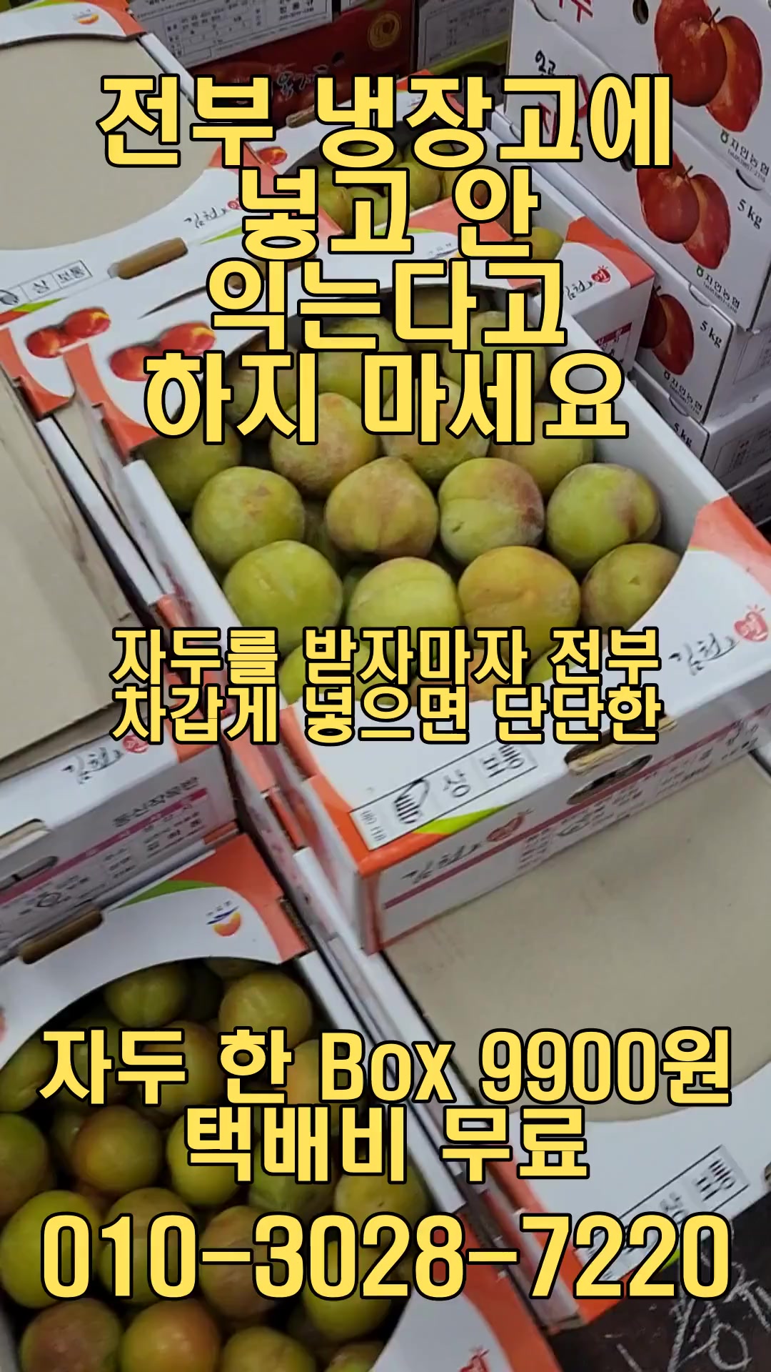 @새콤과일장터