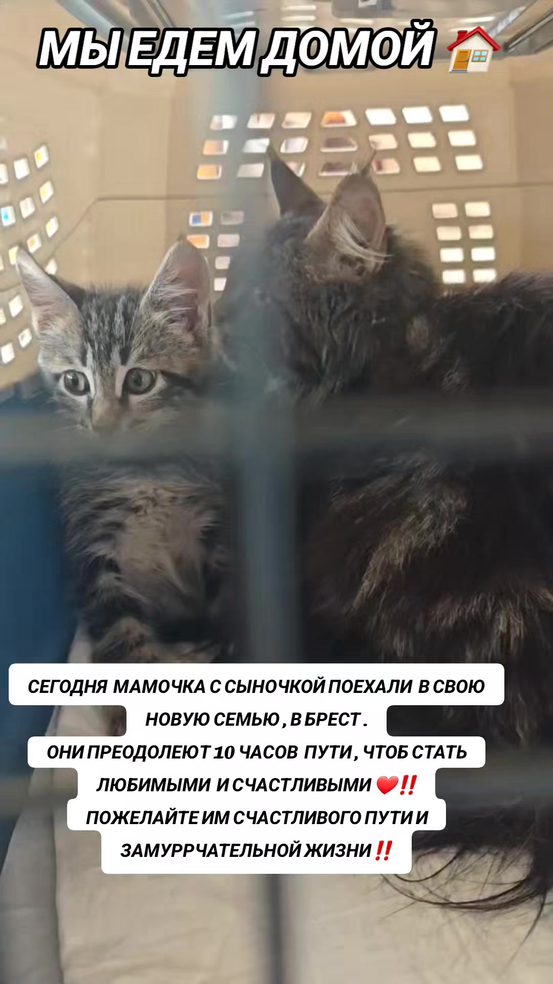 @marinka20_09