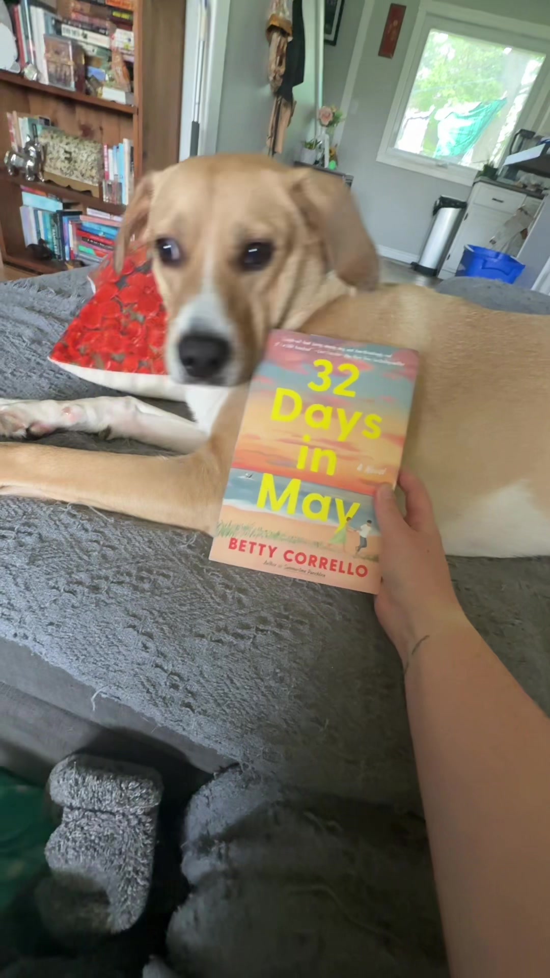 @Ashley 📚🐶