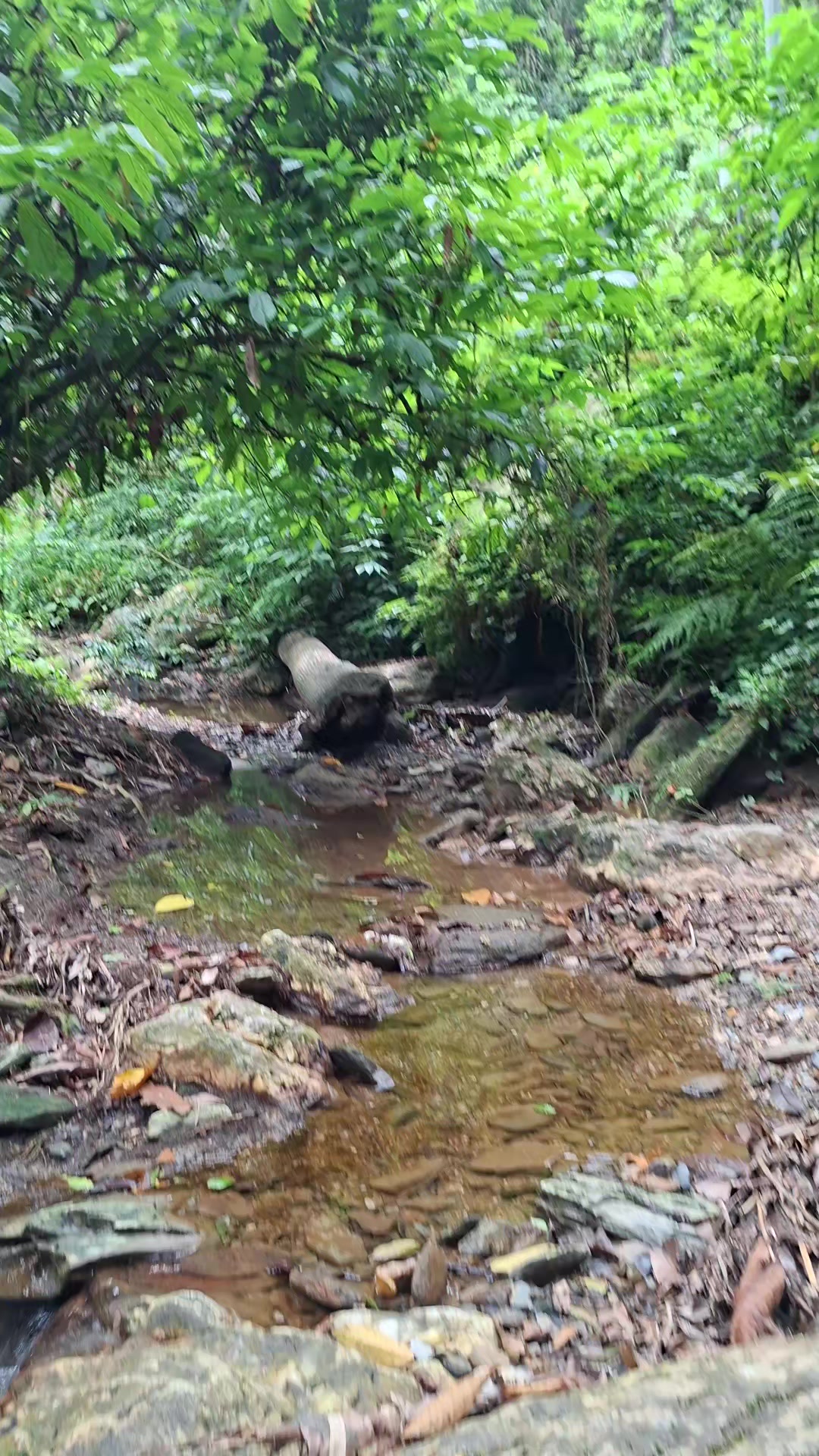 @HikeLife Adventures