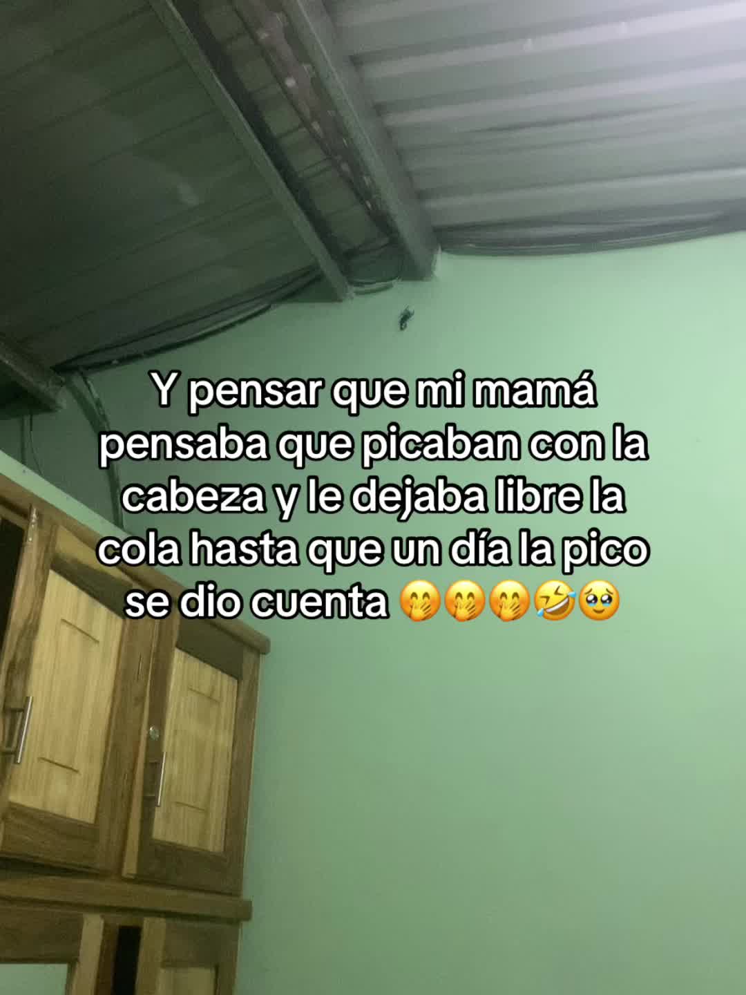 @NoheliA Mejía 🌵🎈