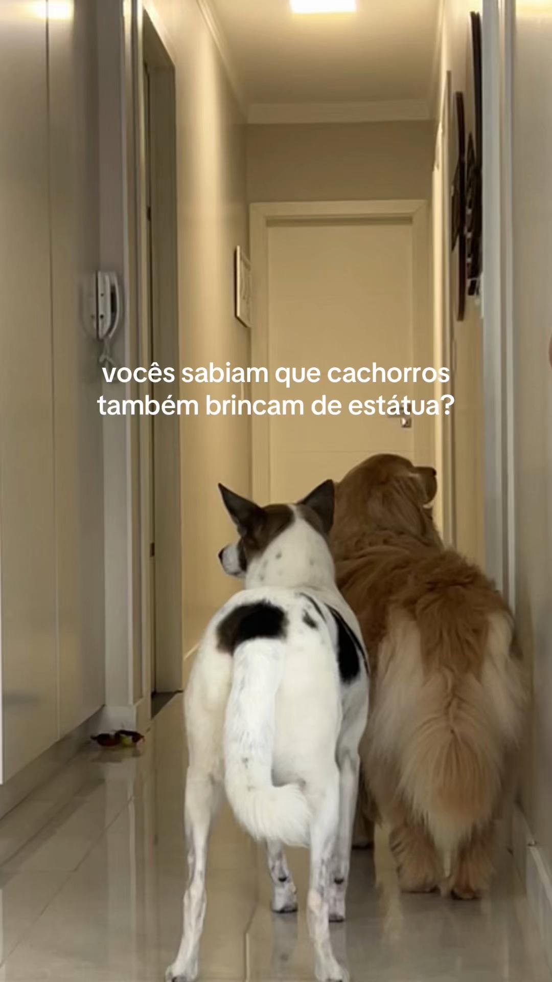 @Mariana Freitas