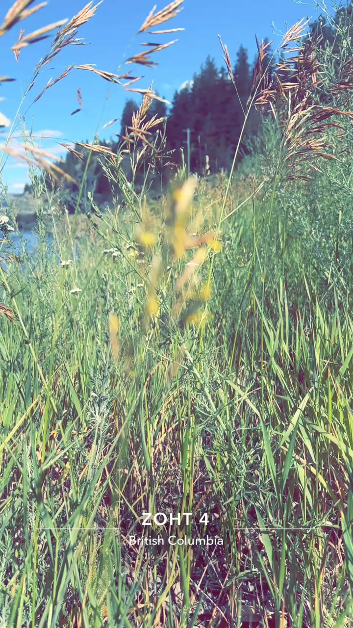 @Shubamkhatri❤️