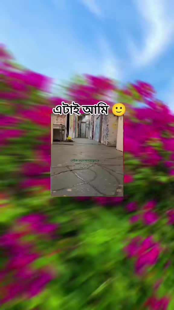 @😘সাকিবের _শাঁকচুন্নি 🧟♀️🧟