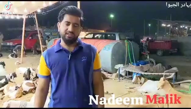 @rihan malik