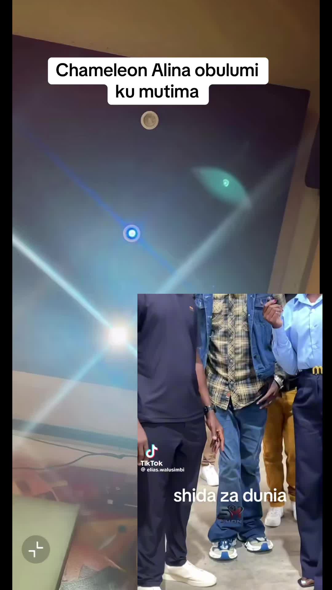 @dailytrends256