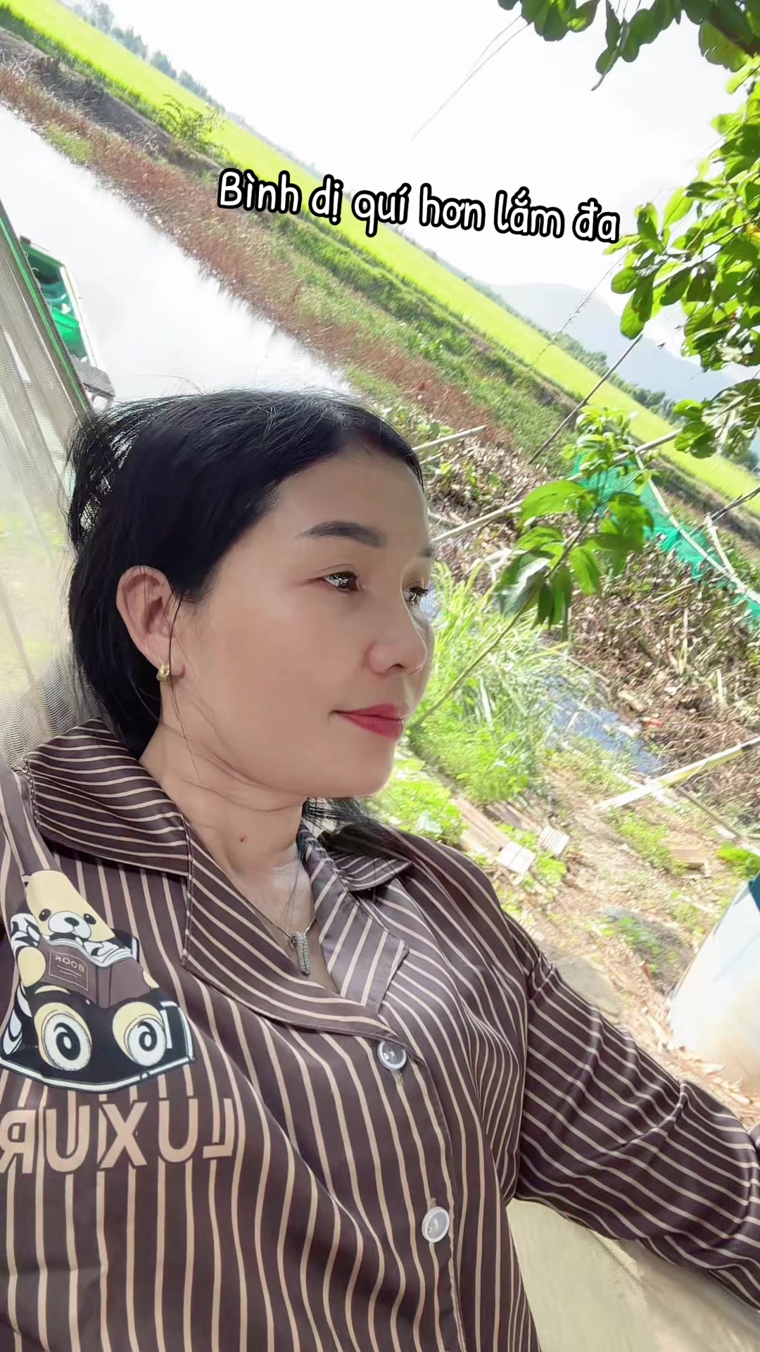@Thốt nốt trà my