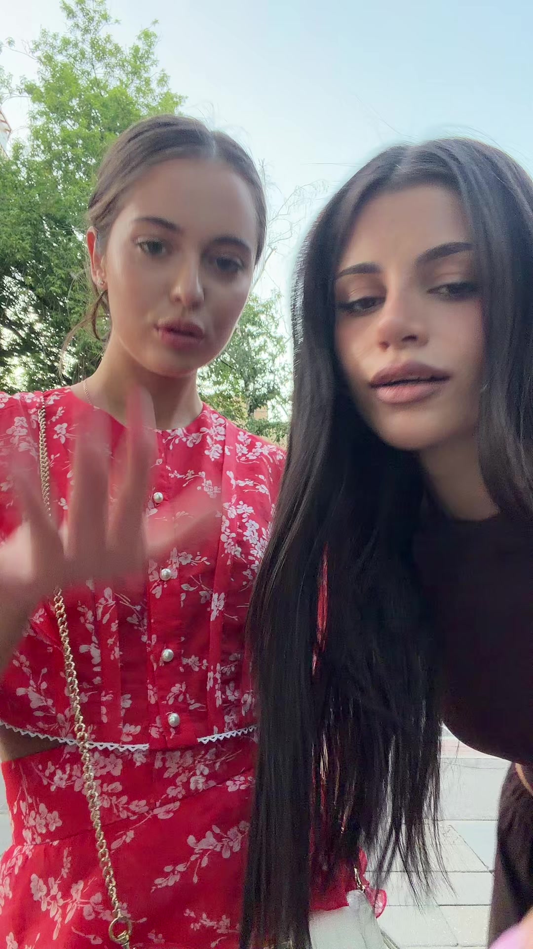 @lamimvl