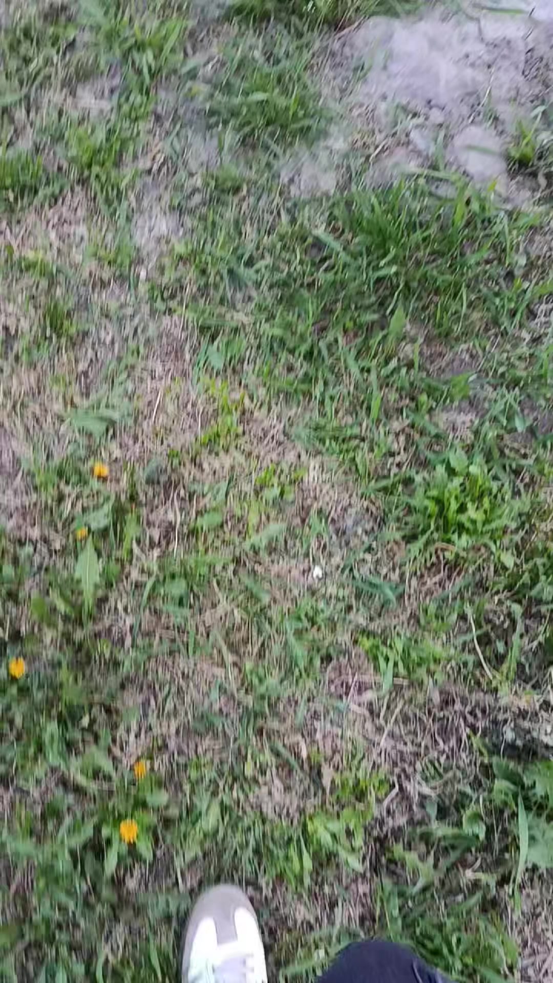 @ⲊⲧⲟⲣⲈʀʀⲟʀ
