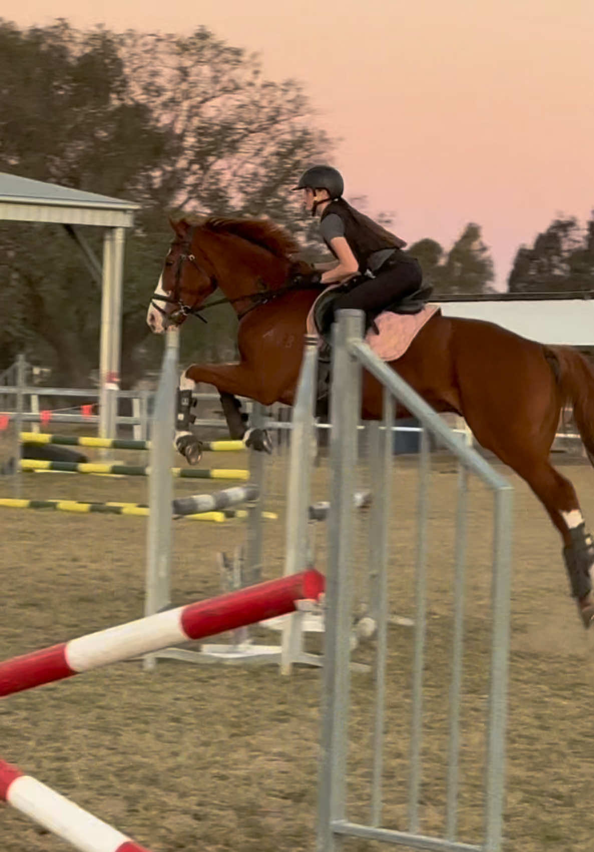 @Rue.Rides