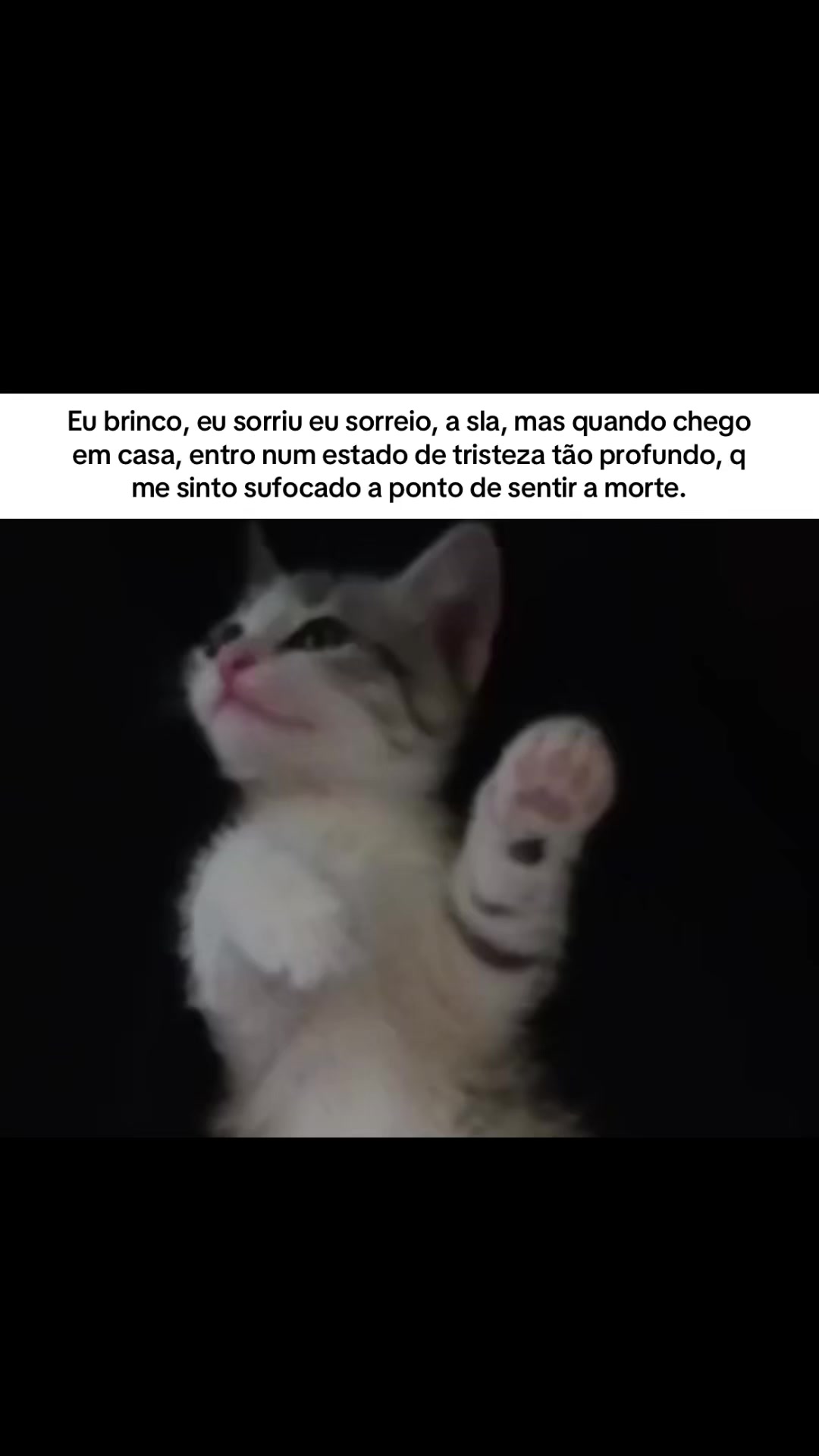 @ℓυᴄคร ᯓ★⁶⁷⁶⁷