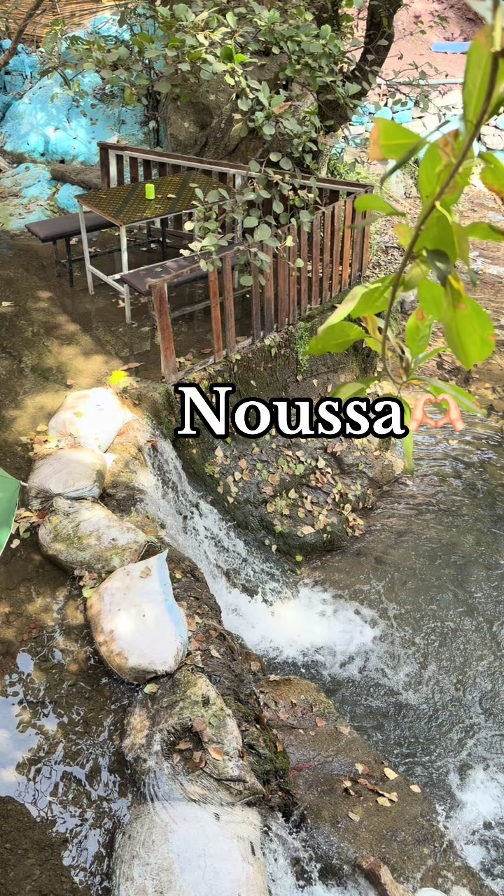 @๐No๐น ssa๐