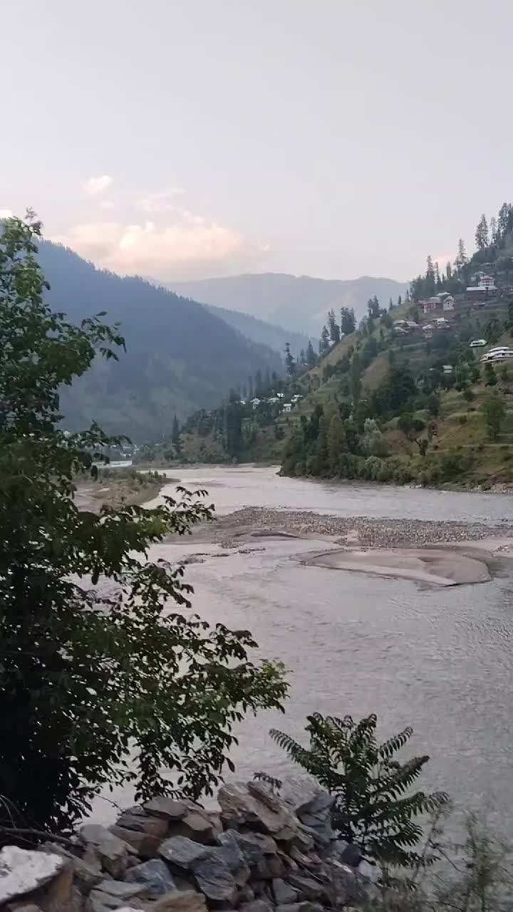 @aamirhanif235