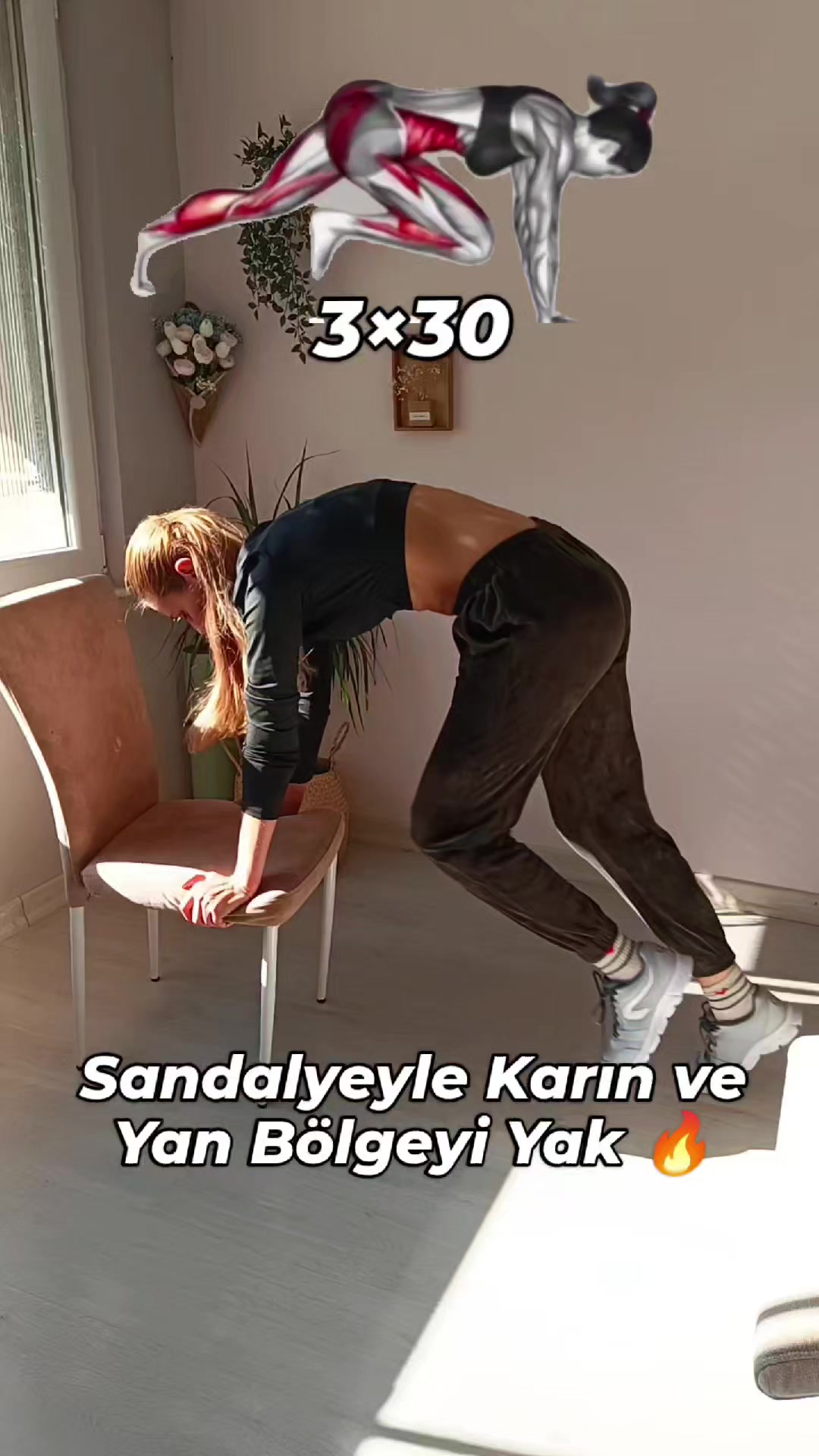 @ipekmori
