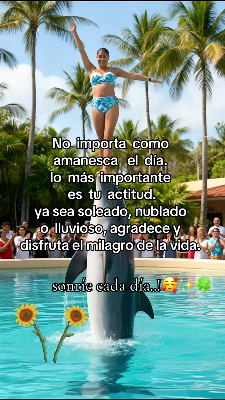 @dilciaalmonte1