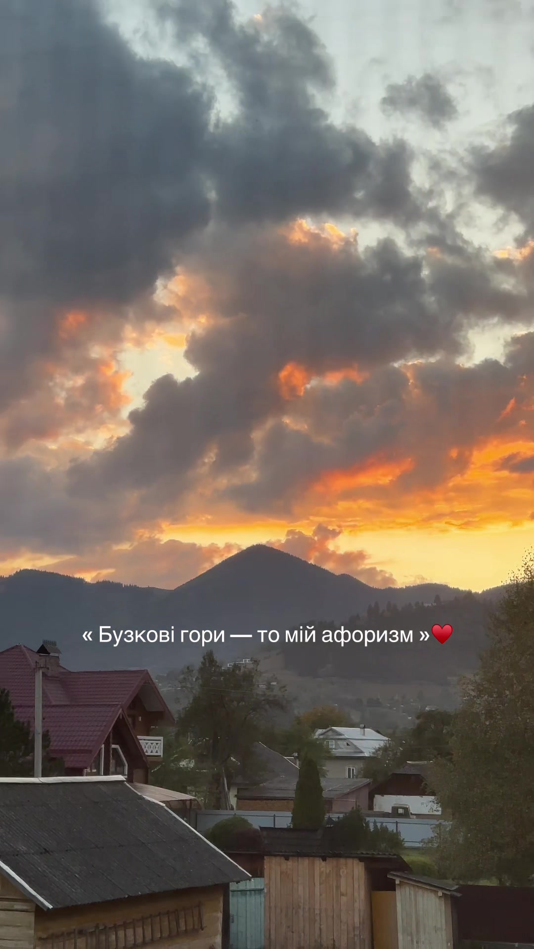 @Віолетта Шкрібляк