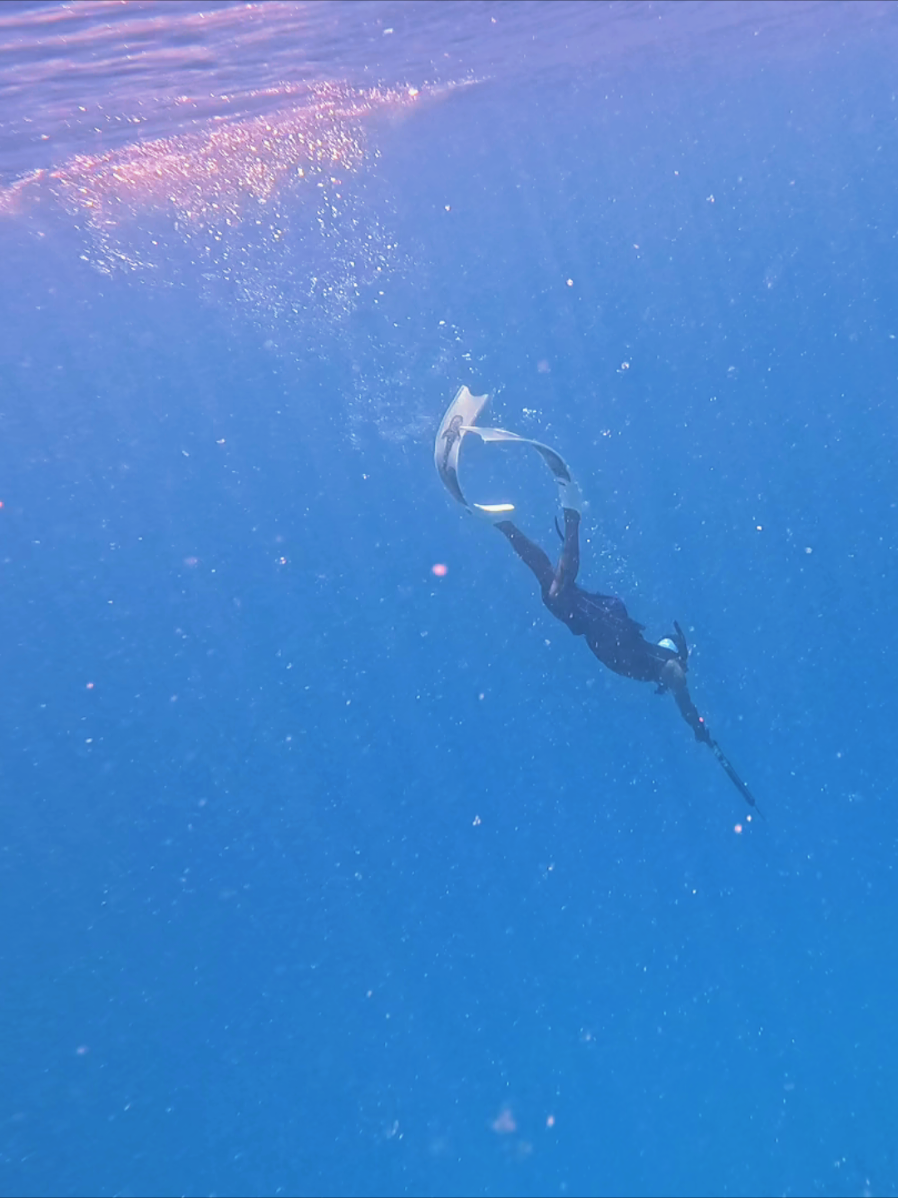 @AQUA BOY MALDIVES