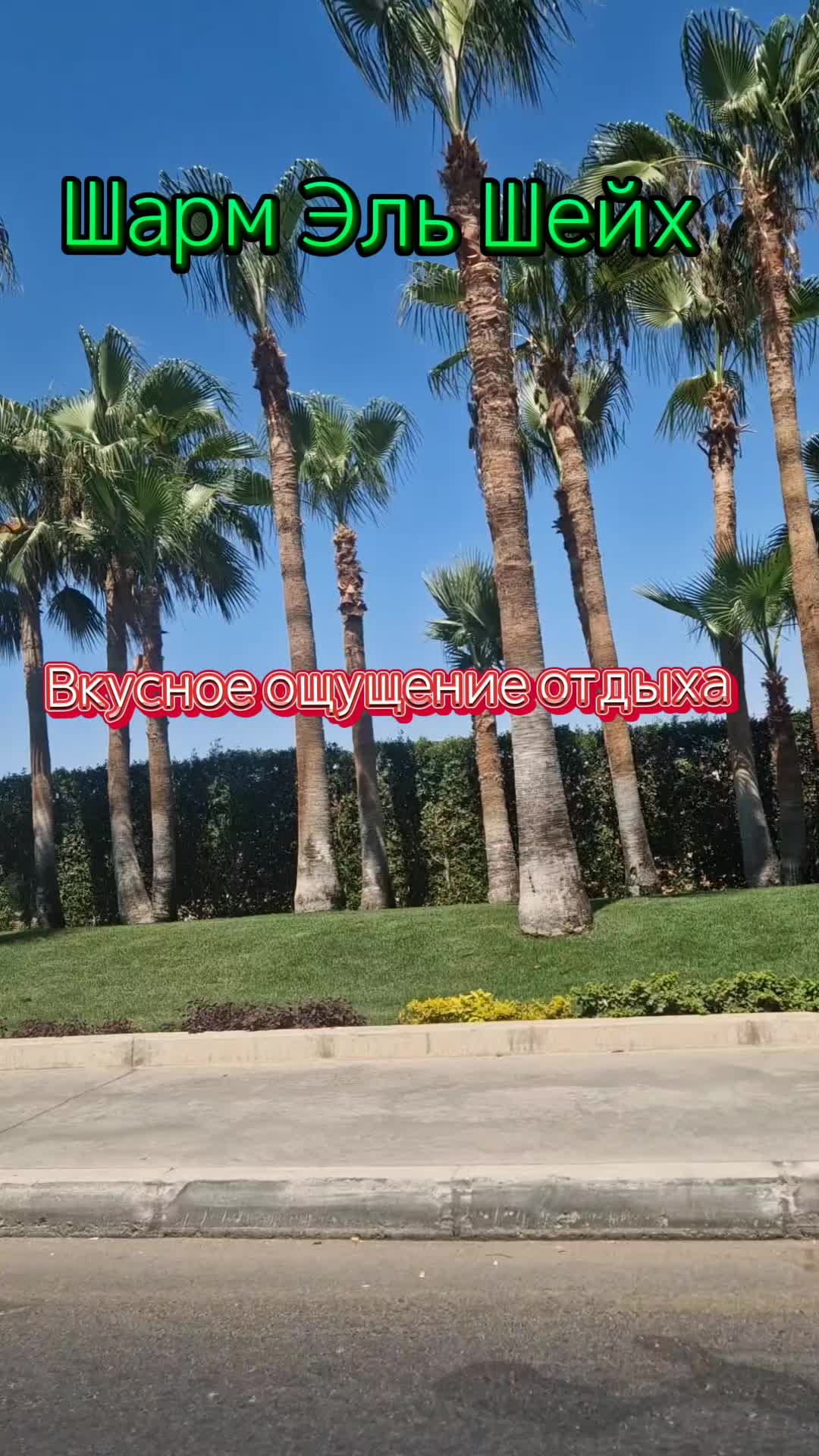 @Татьяна.Шарм Эль Шейх.