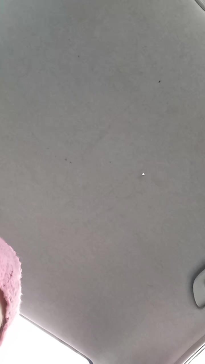 @candelariaayelo2207