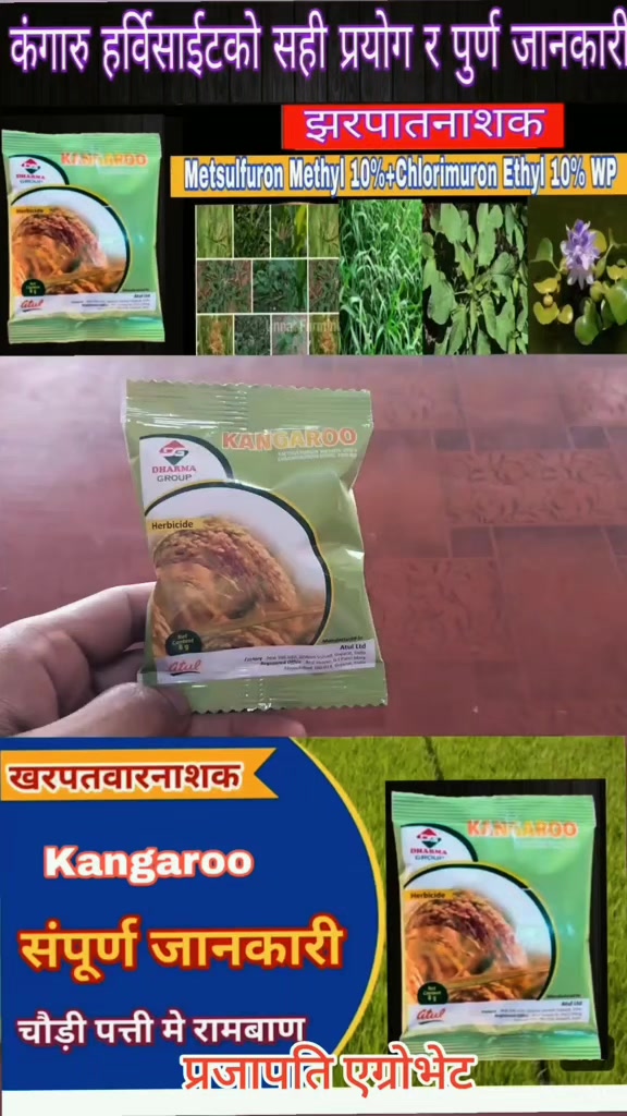 @Prajapati Agro Vet